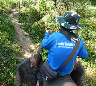 1 Stunde Elefantenritt