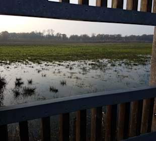 Ohne zu stören die Natur beobachten auf dem Steg