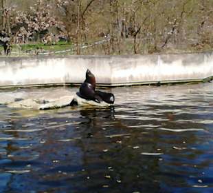 Tierpark Hellabrunn in München
