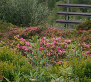 Wandern Fügen (Zillertal)