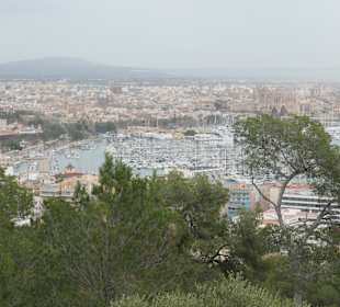 Blick auf Palma vom Castell de Bellver