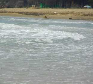 Strand von Bibione 06-2010