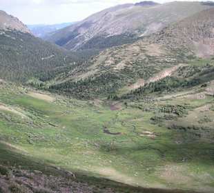 Gravel Road zum Alpine Visitor Center