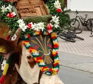 Wandern Zell am Ziller