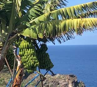 Wandern Puerto de la Cruz