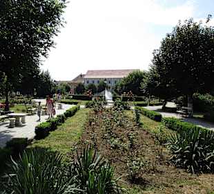 Altstadt Mediaş