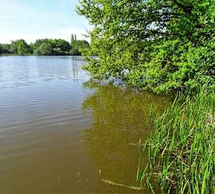 Eindrücke vom Spielmannsteich
