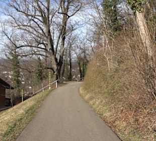 Wanderung Florianrunde