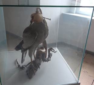 Museum Rosenburg