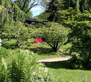 Japanischer Garten Leverkusen