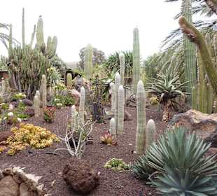 Ausfflug in den Oasis Park