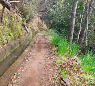 Levada dos Tornos