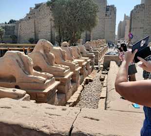 Tagesausflug nach Luxor ab Makadi Bay