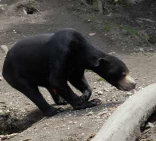 ZOO Jihlava