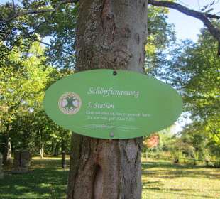 Klosterruine Limburg