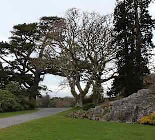 Muckross House, Park, Killarney Nationalpark