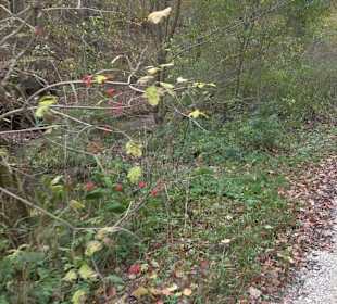 Wandertour "Rund um den Rossberg" Öschingen