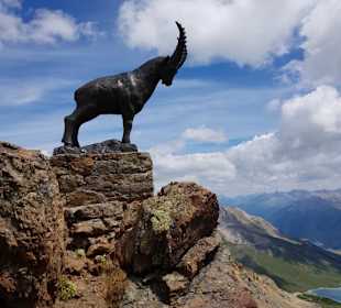 Symbol Steinbock auf Piz Nair
