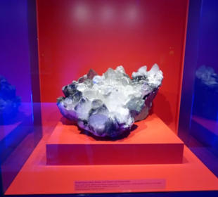 Haus Alpine Naturschau