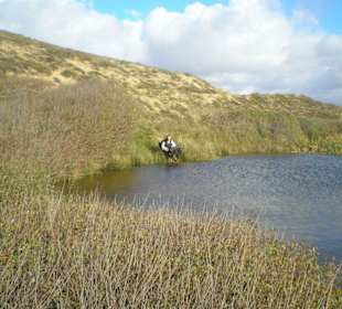 Dünen und Hinterland