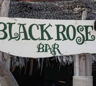 Black Rose 