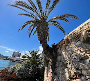 Promenade 