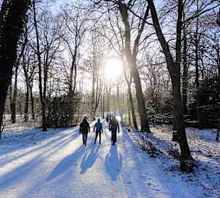 Winterspaziergang durch den Bürgerpark
