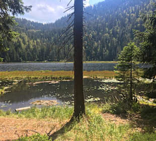 Grosser Arbersee 
