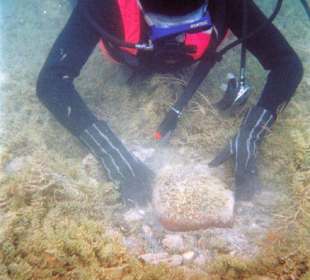 Tauchen im Ohrider See