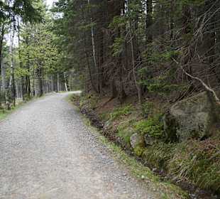 Berg Schneekoppe/Śnieżka