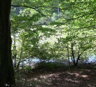 Schaichtalweg - Schlüsselsee