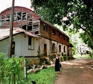 Kautschukfabrik