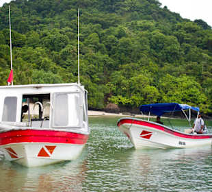 The dive boats