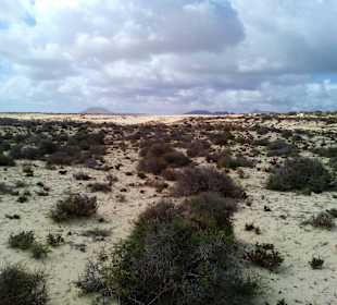 Parque Natural de las Dunas de Corralejo