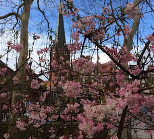 Stadtrundgang Buxtehude