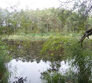 Oberbozener Rundwanderung