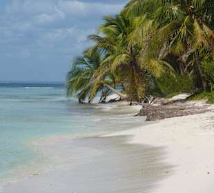 Saona