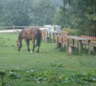 Parcul Natural Apuseni