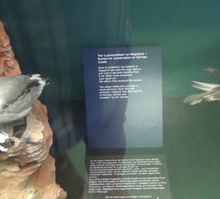 Meeresmuseum Stralsund