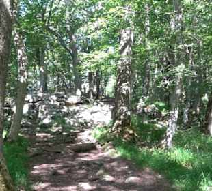 Premiumwanderweg "hochgelegen"