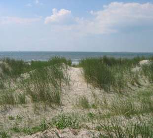 Dünen am Weststrand