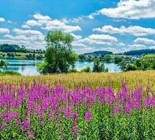 Schalkenmehrener Maar