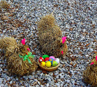 Rollnhofen Hersbruck