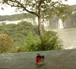 Foz do Iguacu