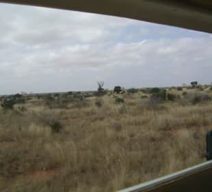 Tsavo Ost