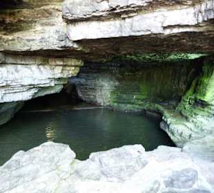 Quellwasser für den Whisky