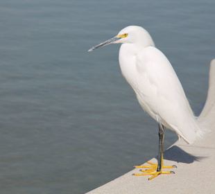 Beverly Gardens Park