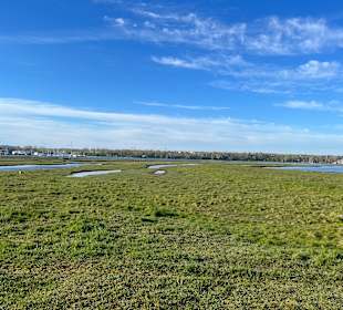 Naturschutzgebiet Graswarder