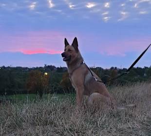 Wandern Hollern-Twielenfleth