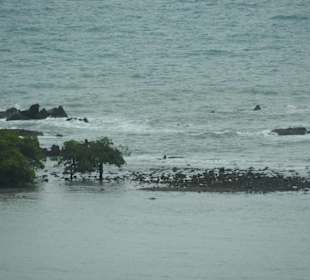AUSSBLICK AUF DAS MEER